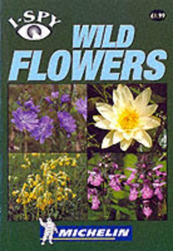 I-Spy Wild Flowers