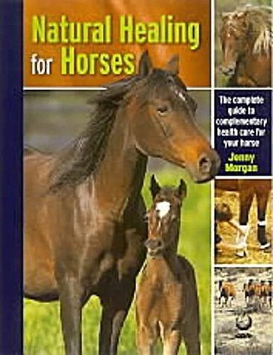 Natural Healing for Horses