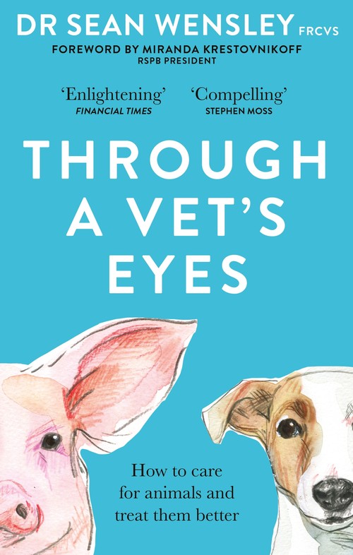Through A Vets Eyes