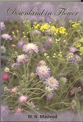 Downland in Flower