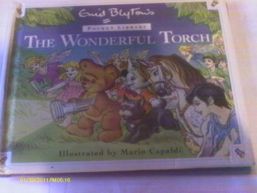 THE WONDERFUL TORCH