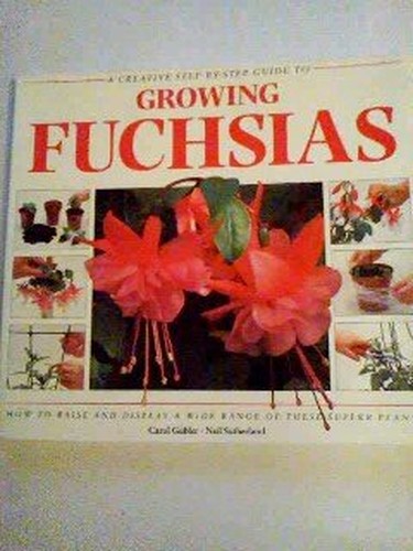 Creative Step by Step Guide to Growing Fuchsias