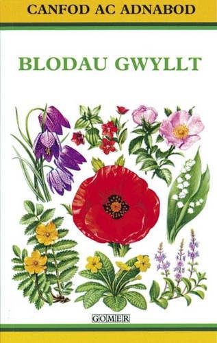 Cyfres Canfod ac Adnabod: Blodau Gwyllt