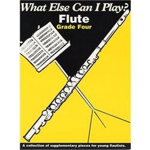 What Else Can I Play?