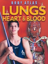 Lungs, Heart and Blood