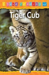 Tiger Cub