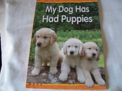 My Dog's Had Puppies