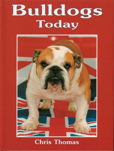 Bulldogs Today