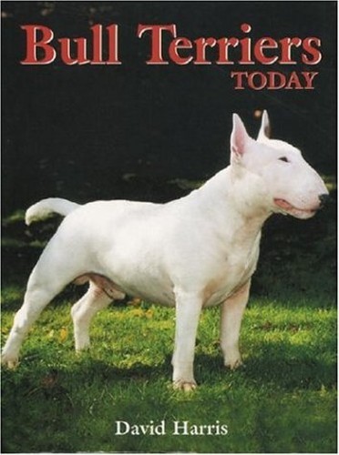 Bull Terriers Today