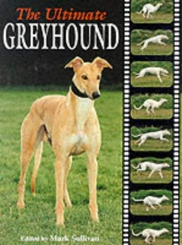 The Ultimate Greyhound
