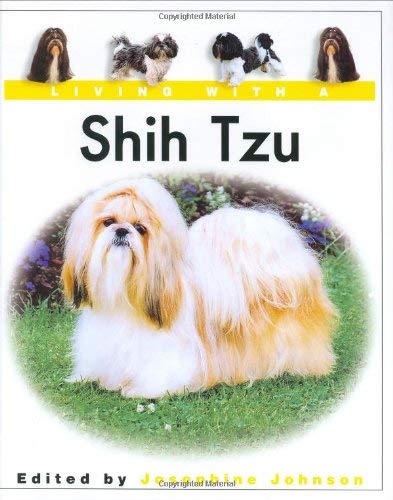 Living with a Shih Tzu