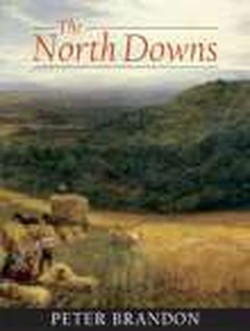The North Downs