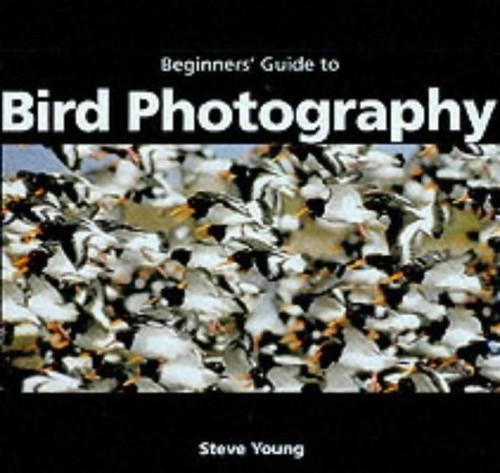 An Essential Guide to Bird Photography