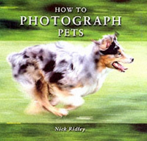 How to Photograph Pets