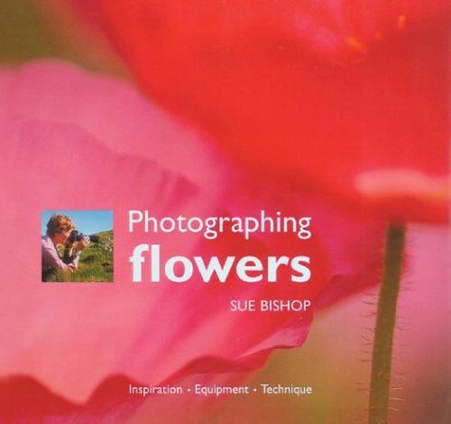 Photographing Flowers