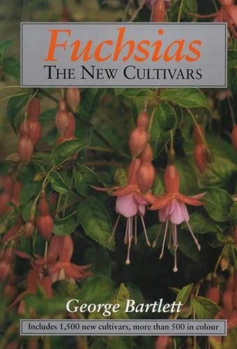 Fuchsias