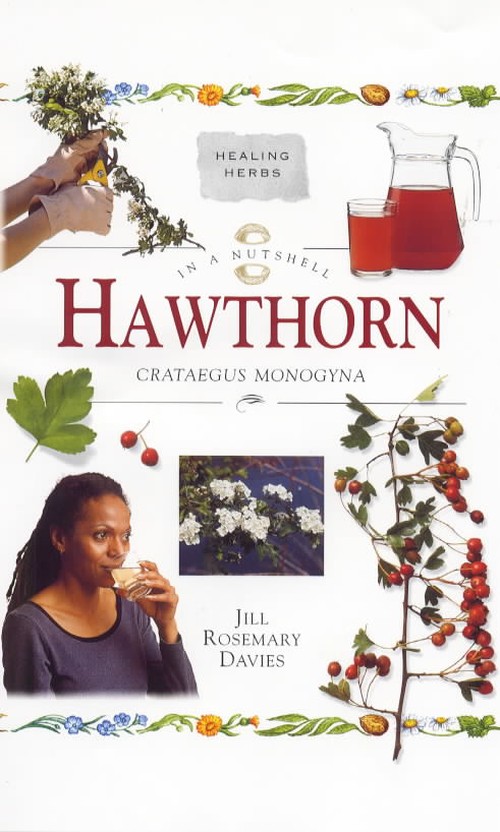 Hawthorn
