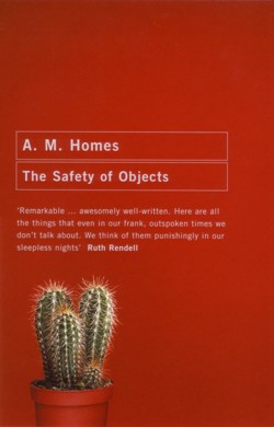 Safety of Objects