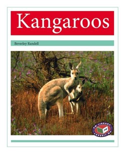 Kangaroos