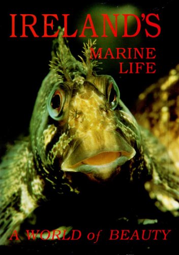 Ireland's Marine Life