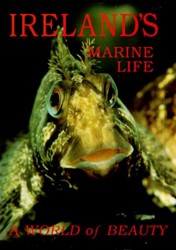 Ireland's Marine Life