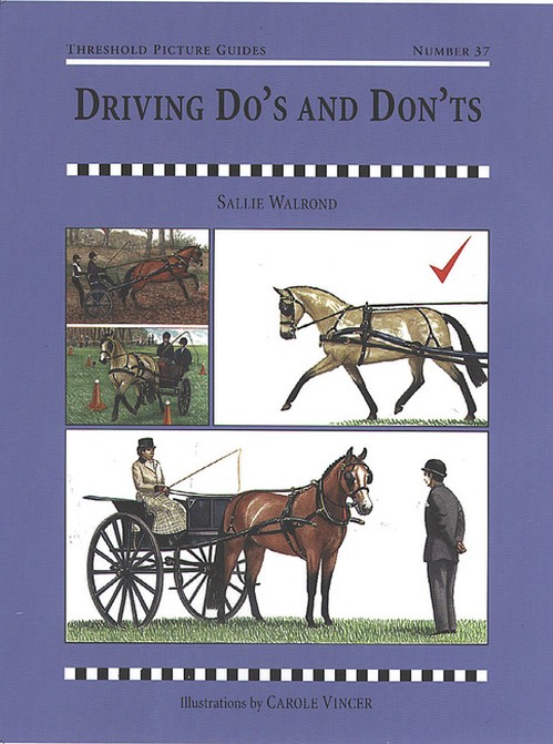 Driving Dos and Don'ts