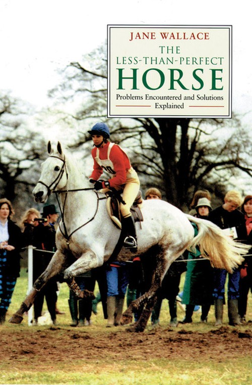 Less Than Perfect Horse