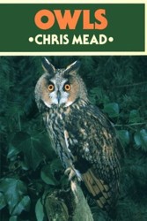 Owls