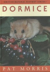 Dormice