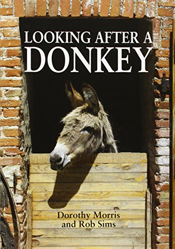 Looking After a Donkey