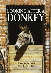 Looking After a Donkey