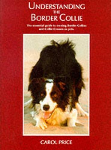 Understanding the Border Collie