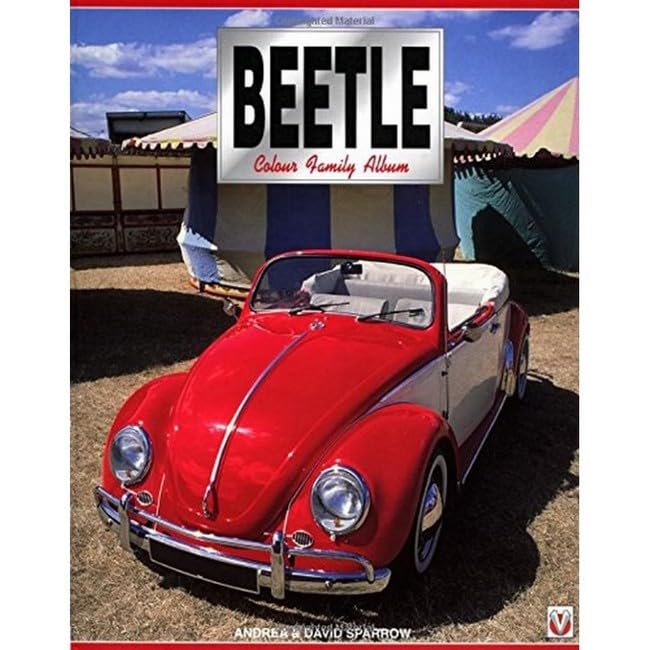 VW Beetle