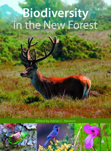 Biodiversity in the New Forest