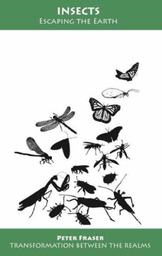 Insects
