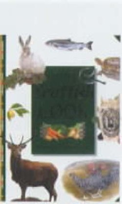 The Scottish Cook