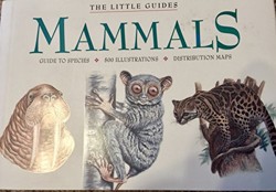 Mammals