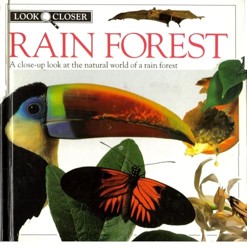 Rain Forest