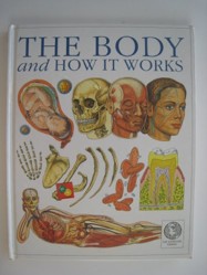 The Body