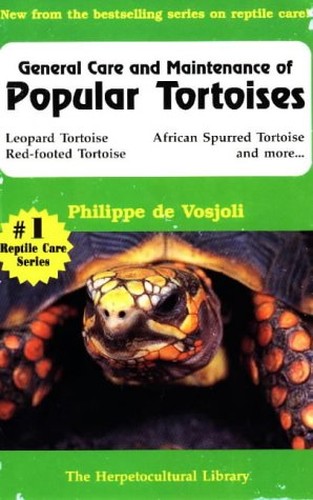 General Care and Maintenance of Popular Tortoises