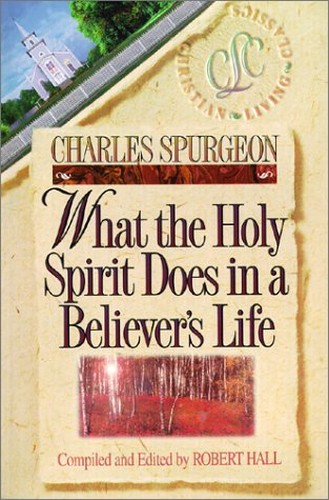 What the Holy Spirit Does in a Believer's Life