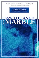 I Saw the Angel in the Marble