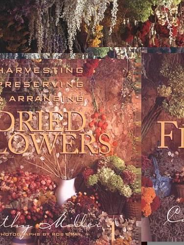 Dried Flowers