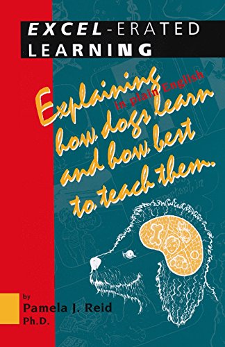 Excel-Erated Learning
