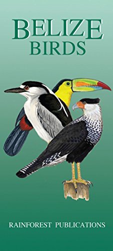 Belize: Birds