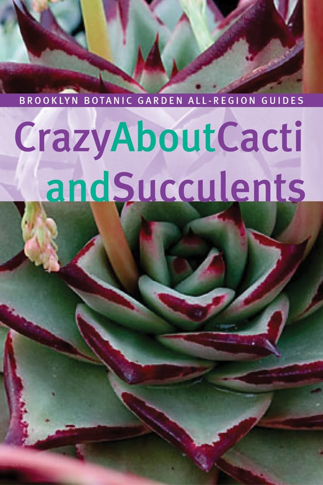 Crazy about Cacti and Succulents