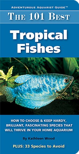 The 101 Best Tropical Fishes