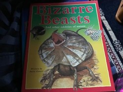 bizarre-beasts-and-other-oddities-of-nature-weird-and-wonderful-series