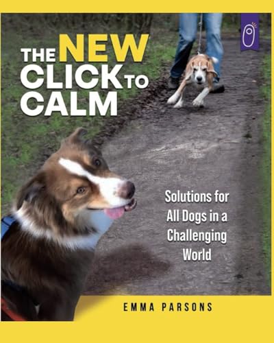 The New Click to Calm