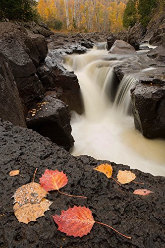 Minnesota's North Shore